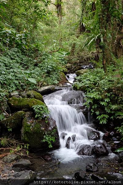 [台灣/宜蘭] 2022.12 終於見到抹茶山