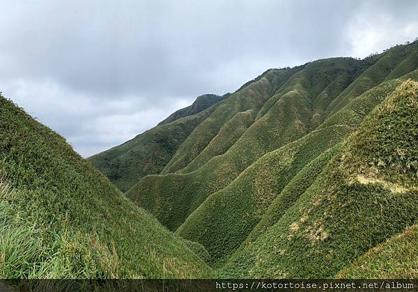 [台灣/宜蘭] 2022.12 終於見到抹茶山