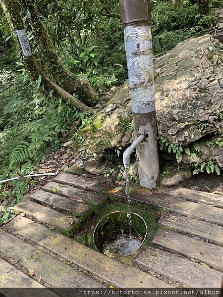 [台灣/宜蘭] 2022.12 終於見到抹茶山