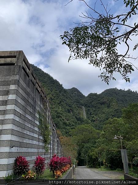 [台灣/宜蘭] 2022.12 終於見到抹茶山