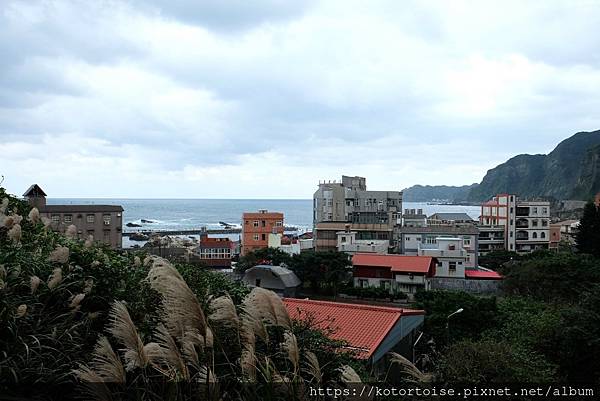 [台灣/瑞芳] 2022.12 休閒步道賞海景: 南子吝步道