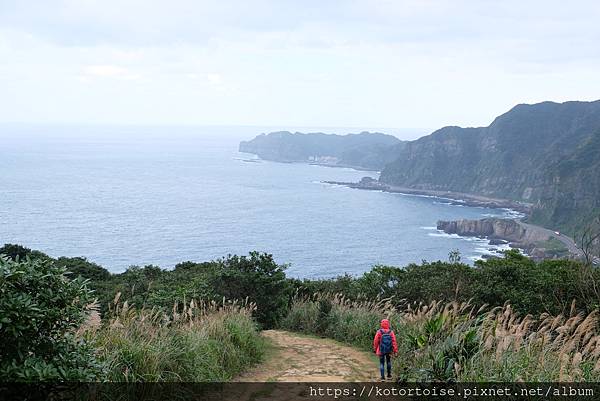 [台灣/瑞芳] 2022.12 休閒步道賞海景: 南子吝步道