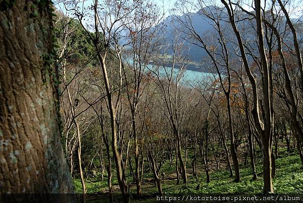 [台灣/桃園] 2023.1 石門水庫變美了 ?