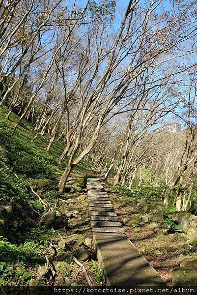 [台灣/桃園] 2023.1 石門水庫變美了 ?