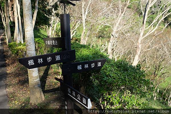 [台灣/桃園] 2023.1 石門水庫變美了 ?