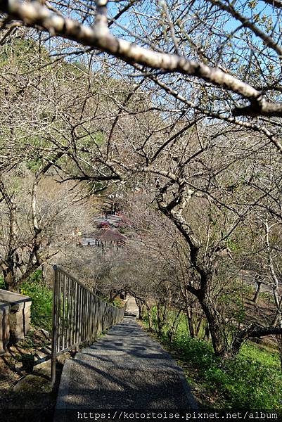 [台灣/桃園] 2023.1 石門水庫變美了 ?