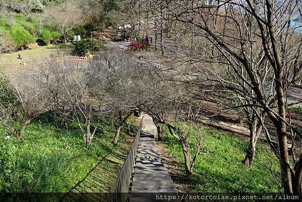 [台灣/桃園] 2023.1 石門水庫變美了 ?