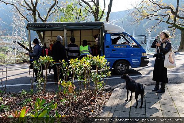 [台灣/桃園] 2023.1 石門水庫變美了 ?