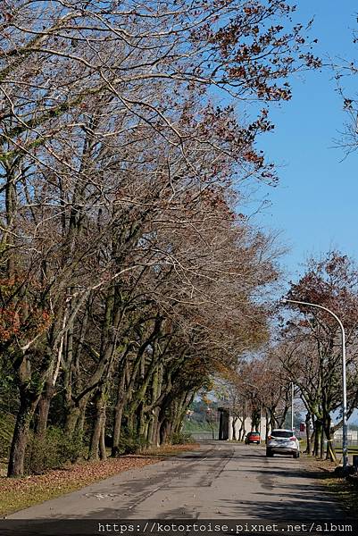 [台灣/桃園] 2023.1 石門水庫變美了 ?