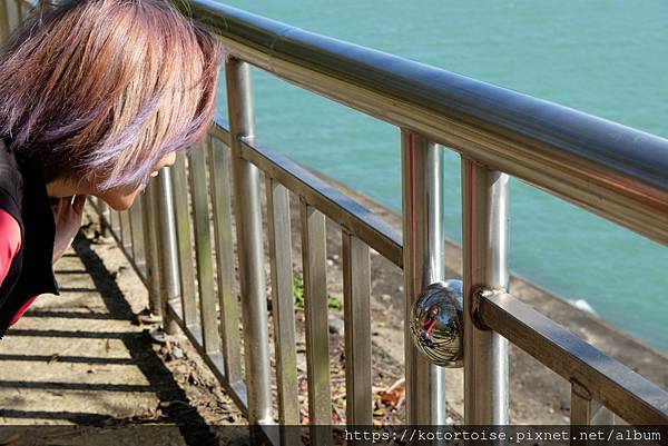 [台灣/桃園] 2023.1 石門水庫變美了 ?