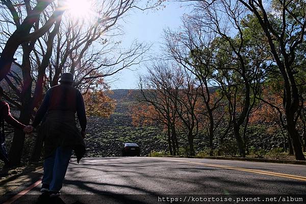 [台灣/桃園] 2023.1 石門水庫變美了 ?