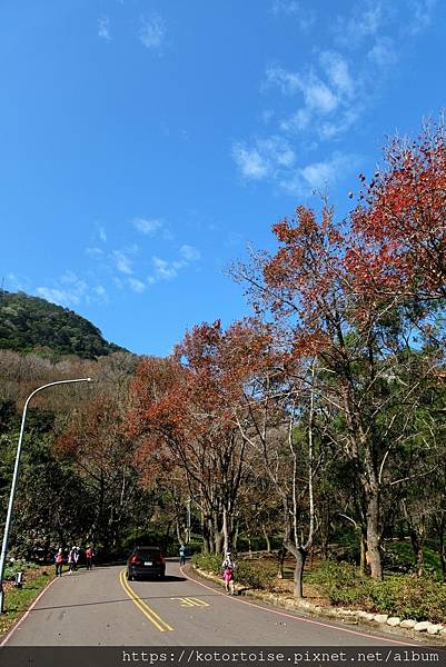 [台灣/桃園] 2023.1 石門水庫變美了 ?