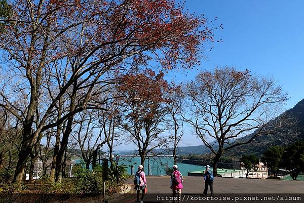 [台灣/桃園] 2023.1 石門水庫變美了 ?