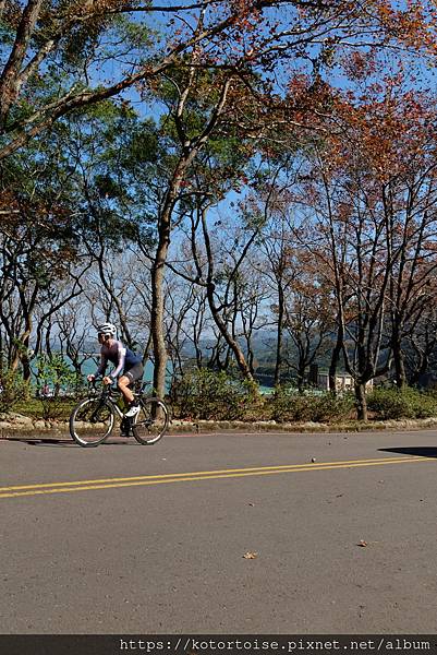 [台灣/桃園] 2023.1 石門水庫變美了 ?