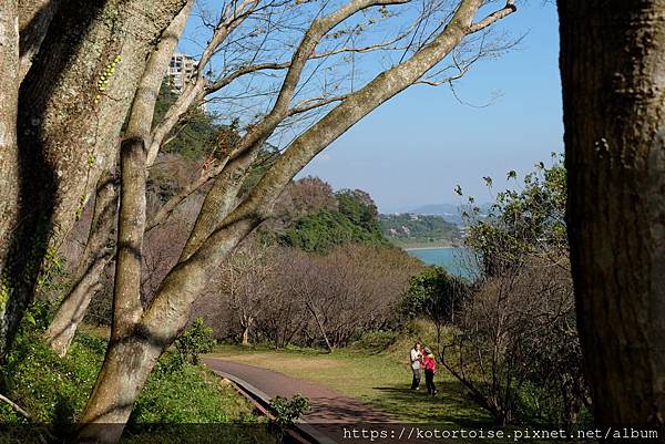 [台灣/桃園] 2023.1 石門水庫變美了 ?