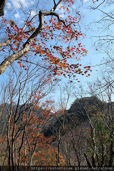 [台灣/桃園] 2023.1 石門水庫變美了 ?