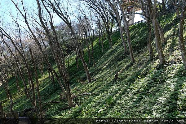 [台灣/桃園] 2023.1 石門水庫變美了 ?