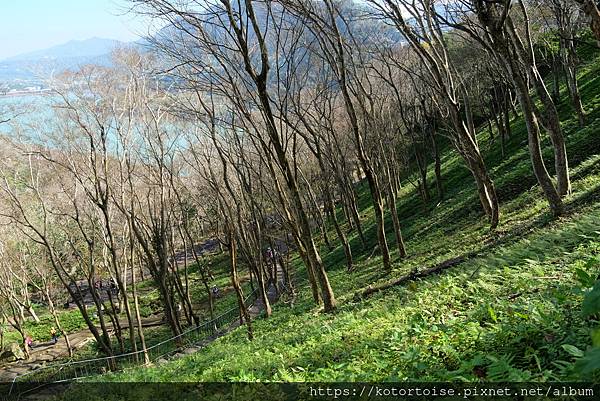 [台灣/桃園] 2023.1 石門水庫變美了 ?