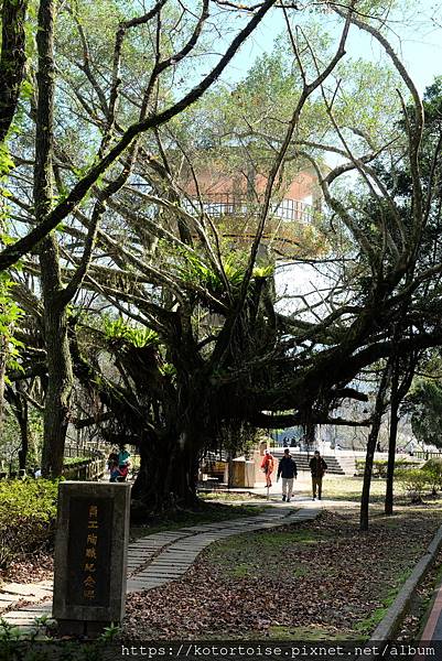 [台灣/桃園] 2023.1 石門水庫變美了 ?