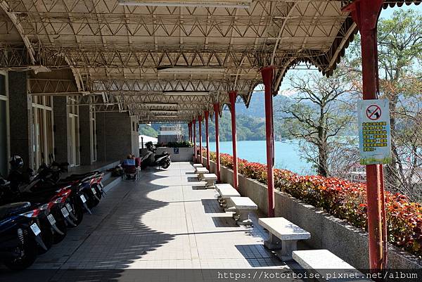 [台灣/桃園] 2023.1 石門水庫變美了 ?