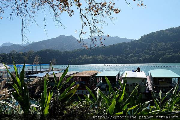 [台灣/桃園] 2023.1 石門水庫變美了 ?