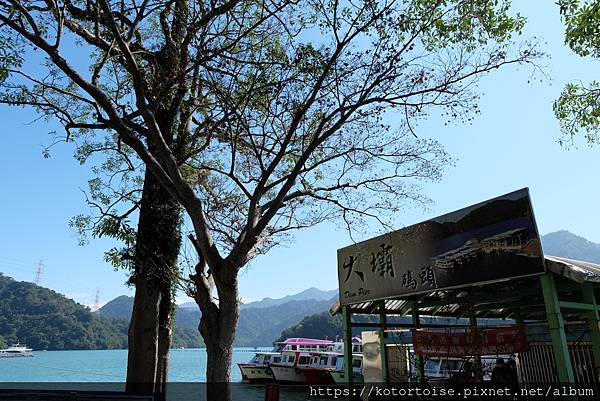 [台灣/桃園] 2023.1 石門水庫變美了 ?