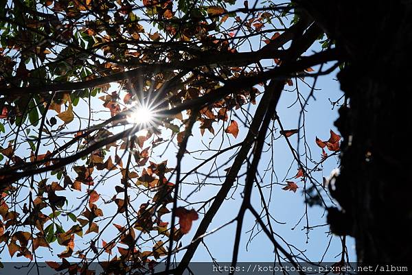 [台灣/桃園] 2023.1 石門水庫變美了 ?