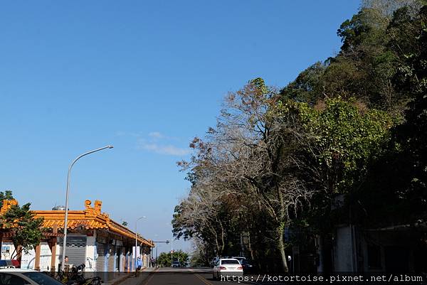 [台灣/桃園] 2023.1 石門水庫變美了 ?