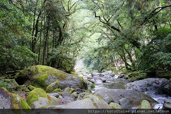 [台灣/台東] 2023.6 戒茂斯上嘉明湖: 好美的三天兩
