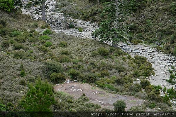 [台灣/台東] 2023.6 戒茂斯上嘉明湖: 好美的三天兩