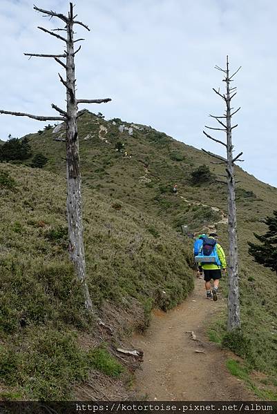 [台灣/台東] 2023.6 戒茂斯上嘉明湖: 美好的三天兩