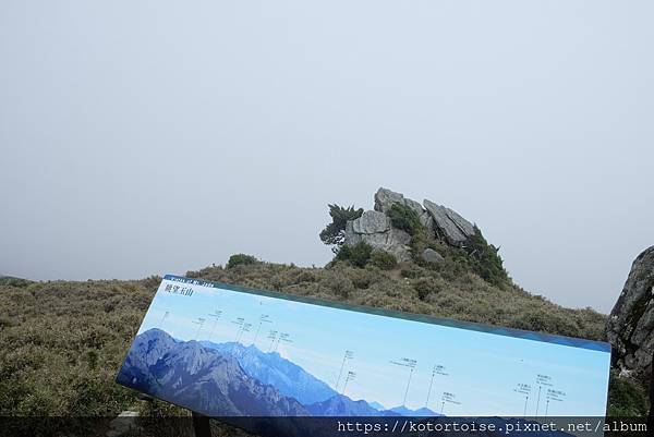 [台灣/台東] 2023.6 戒茂斯上嘉明湖: 美好的三天兩