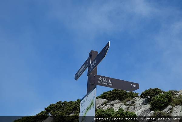 [台灣/台東] 2023.6 戒茂斯上嘉明湖: 美好的三天兩