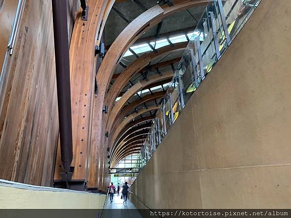 [台灣/台東] 2023.6 戒茂斯上嘉明湖: 好美的三天兩