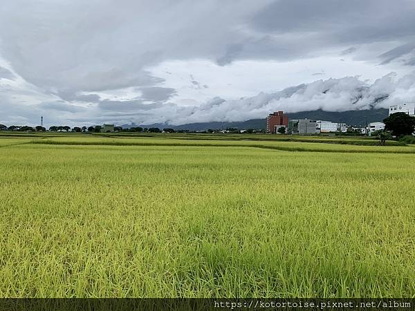 [台灣/台東] 2023.6 戒茂斯上嘉明湖: 好美的三天兩