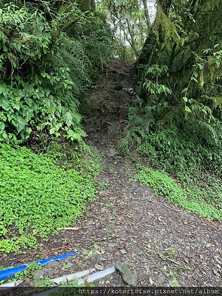 [台灣/台東] 2023.6 戒茂斯上嘉明湖: 好美的三天兩