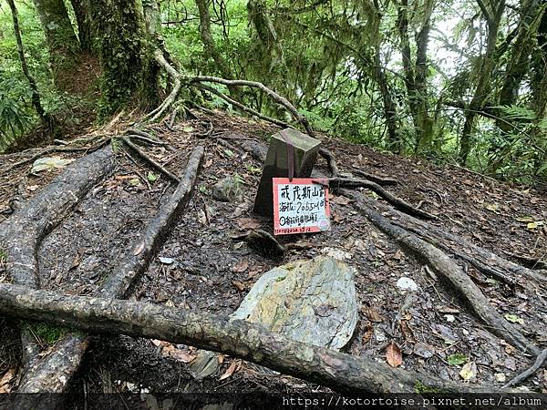 [台灣/台東] 2023.6 戒茂斯上嘉明湖: 好美的三天兩