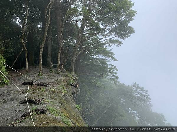 [台灣/台東] 2023.6 戒茂斯上嘉明湖: 好美的三天兩
