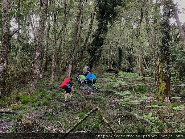 [台灣/台東] 2023.6 戒茂斯上嘉明湖: 好美的三天兩