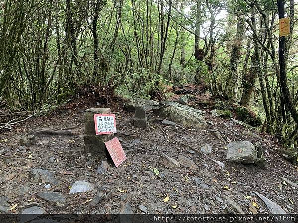 [台灣/台東] 2023.6 戒茂斯上嘉明湖: 好美的三天兩