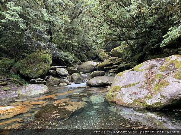 [台灣/台東] 2023.6 戒茂斯上嘉明湖: 好美的三天兩