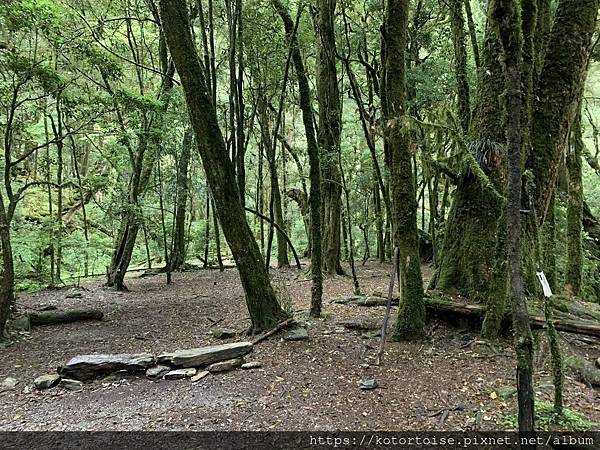 [台灣/台東] 2023.6 戒茂斯上嘉明湖: 好美的三天兩