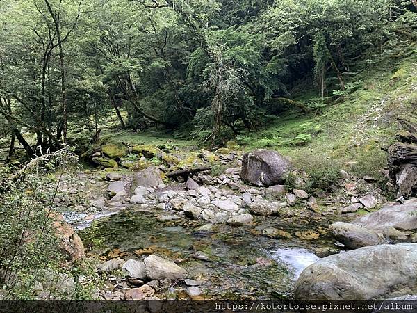 [台灣/台東] 2023.6 戒茂斯上嘉明湖: 好美的三天兩