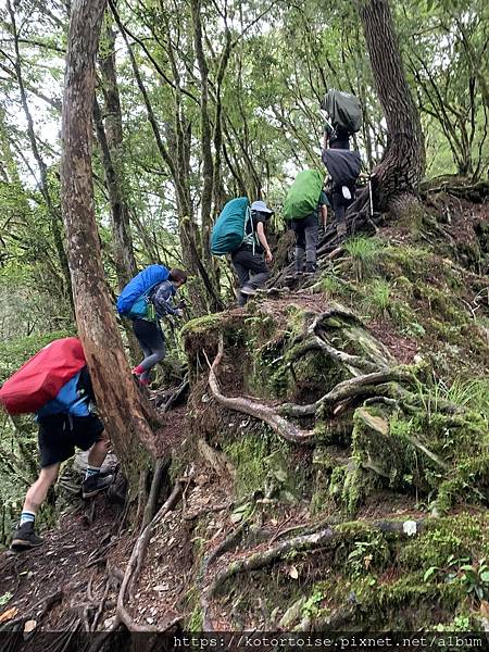 [台灣/台東] 2023.6 戒茂斯上嘉明湖: 好美的三天兩