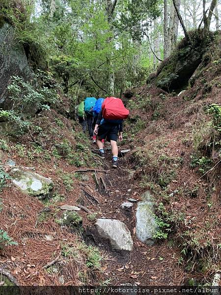 [台灣/台東] 2023.6 戒茂斯上嘉明湖: 好美的三天兩