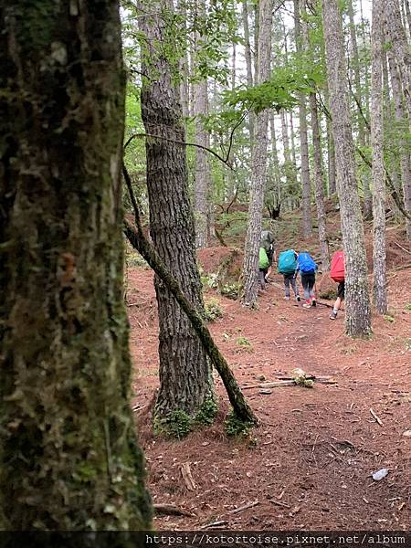 [台灣/台東] 2023.6 戒茂斯上嘉明湖: 好美的三天兩