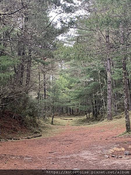 [台灣/台東] 2023.6 戒茂斯上嘉明湖: 好美的三天兩