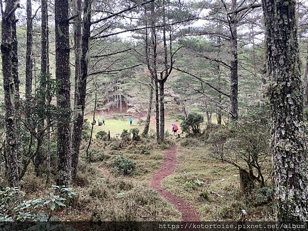 [台灣/台東] 2023.6 戒茂斯上嘉明湖: 好美的三天兩