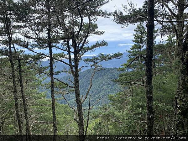 [台灣/台東] 2023.6 戒茂斯上嘉明湖: 好美的三天兩