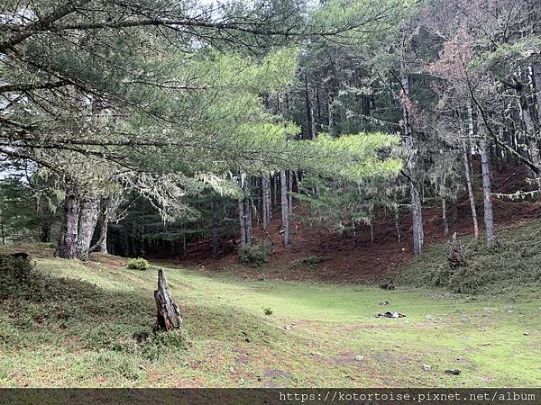 [台灣/台東] 2023.6 戒茂斯上嘉明湖: 好美的三天兩